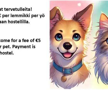 Ostello Majoitus Fox Kuopio Esterno foto