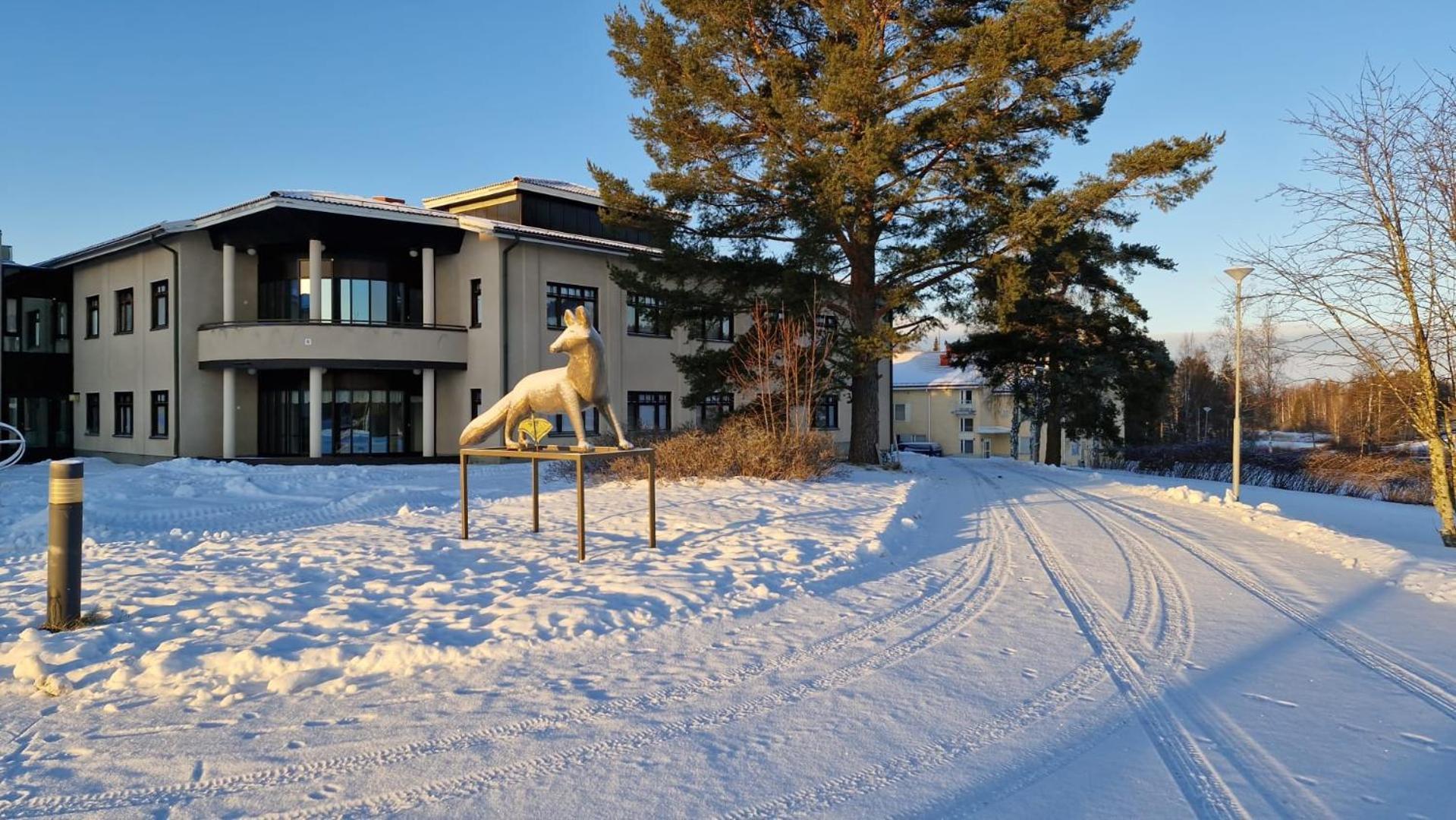 Auberge de jeunesse Majoitus Fox *