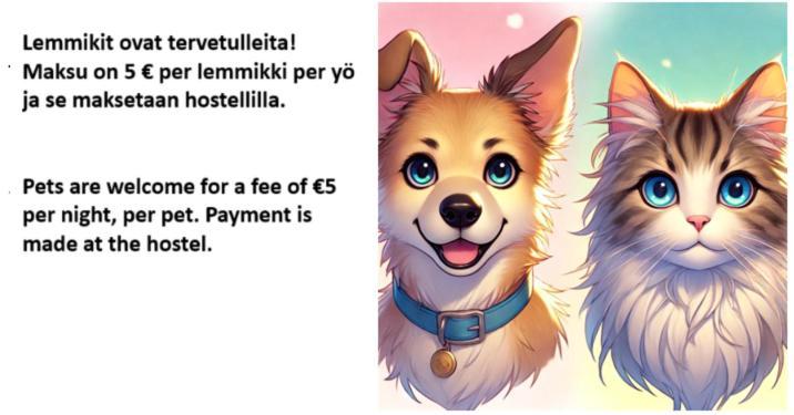Majoitus Fox Kuopio